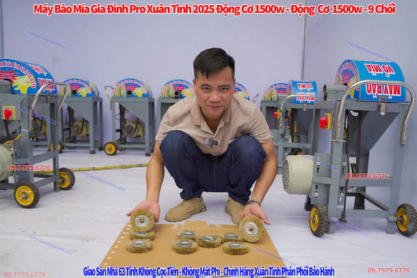 May Bao Vo Mia Gia Dinh Mini Xuan Tinh 4